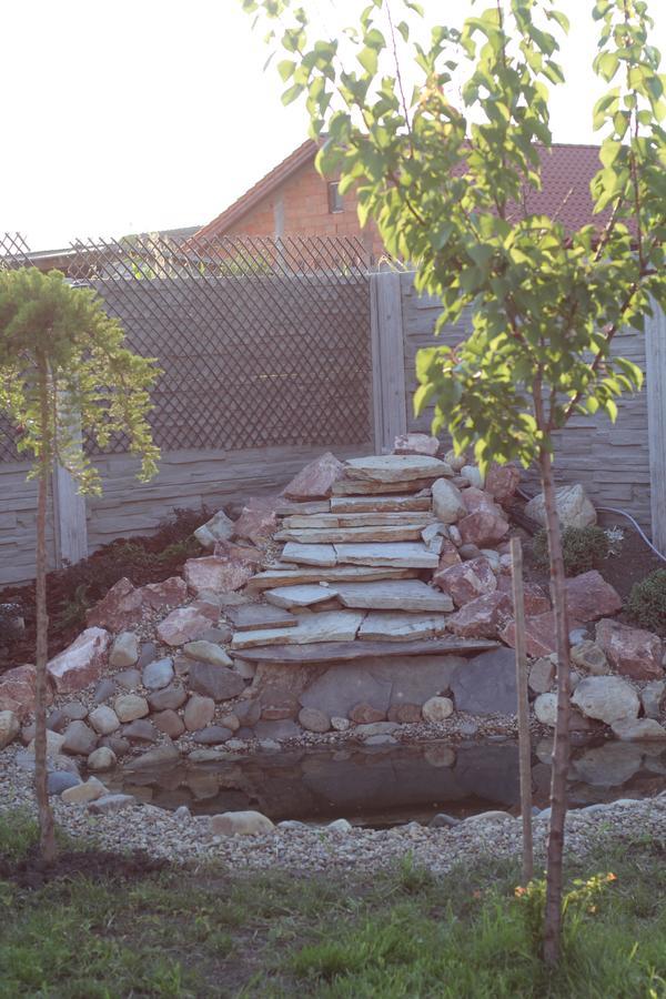 Pensiunea Gradina Verde Becicherecu Mic ภายนอก รูปภาพ