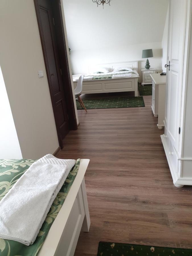 Pensiunea Gradina Verde Becicherecu Mic ภายนอก รูปภาพ